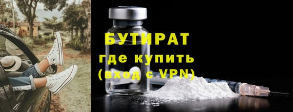 хмурый Аркадак
