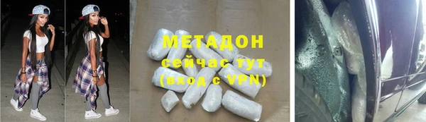 хмурый Аркадак