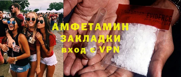 хмурый Аркадак