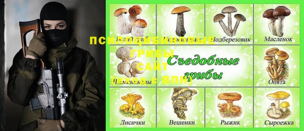 хмурый Аркадак