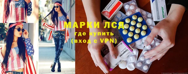 хмурый Аркадак