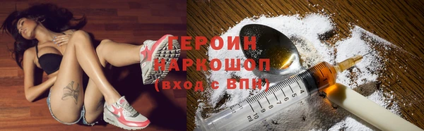 хмурый Аркадак