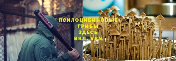 трава Балахна