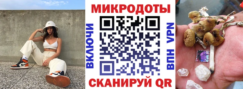 Псилоцибиновые грибы Psilocybe  Петухово 